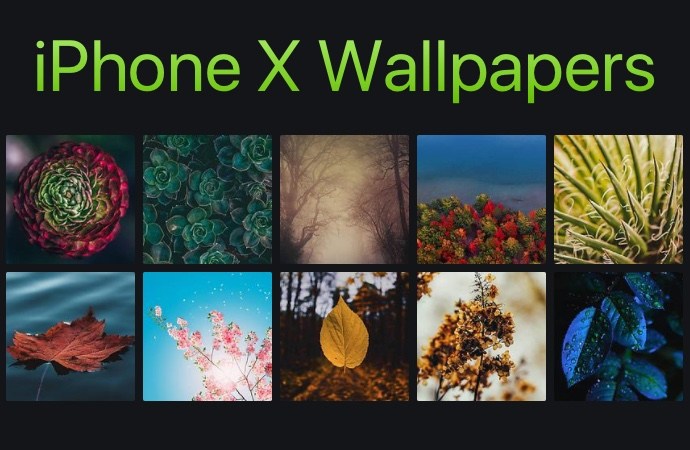 12 hermosos fondos de pantalla de iPhone X con hojas y plantas (Ep. 5)