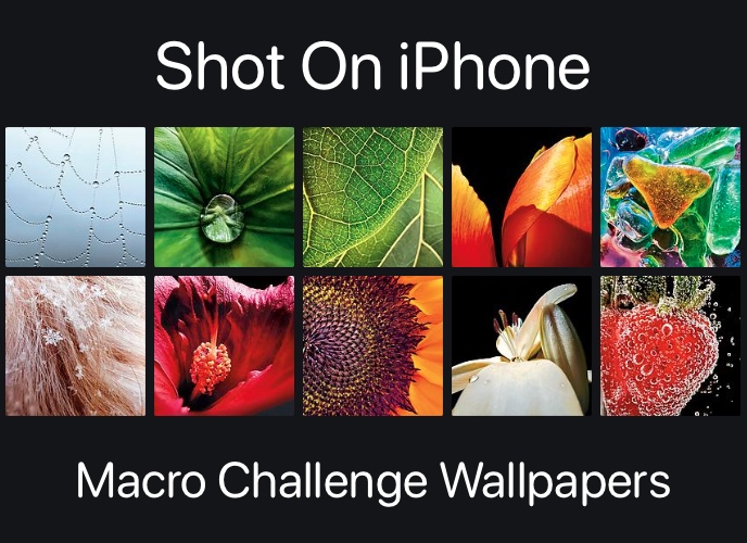 Descargue los fondos de pantalla de Shot On iPhone Macro Challenge aquí