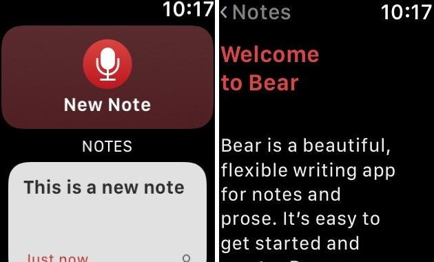 Bear Writing Appes Comes To Apple Watch[Vídeo]