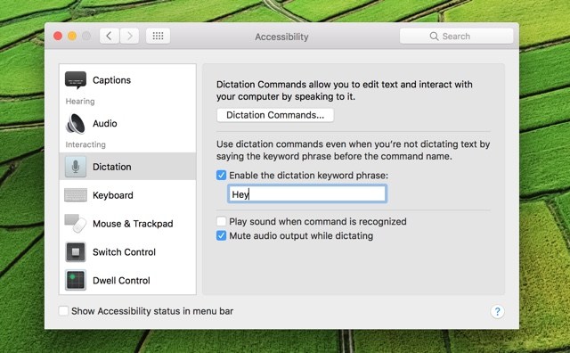 He aquí cómo añadir Hey Siri Command a macOS Siri
