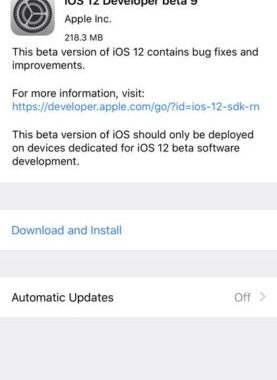 iOS 12 Developer Beta 9 y nuevas Betas para macOS Mojave, watchOS 5 y tvOS 12 lanzados al mercado