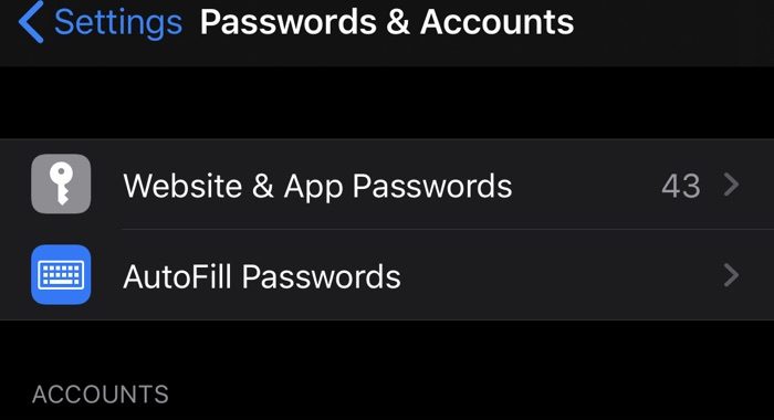 iOS 13 Beta Bug da acceso no autorizado a contraseñas y cuentas