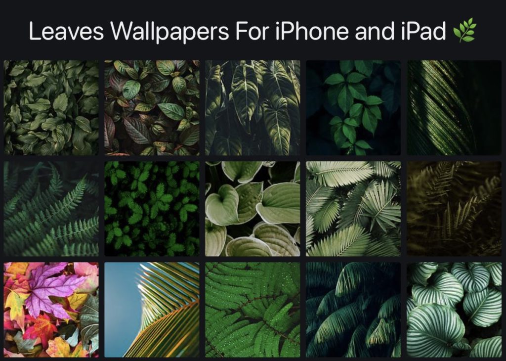 Los mejores fondos de pantalla de hojas para iPhone y iPad