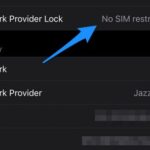 Cómo saber si el iPhone tiene bloqueo de proveedor de red o no en iOS 14 o posterior
